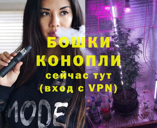 шишки Алексеевка