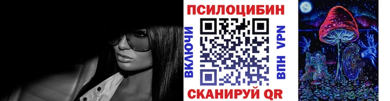 Псилоцибиновые грибы Psilocybe Звенигород