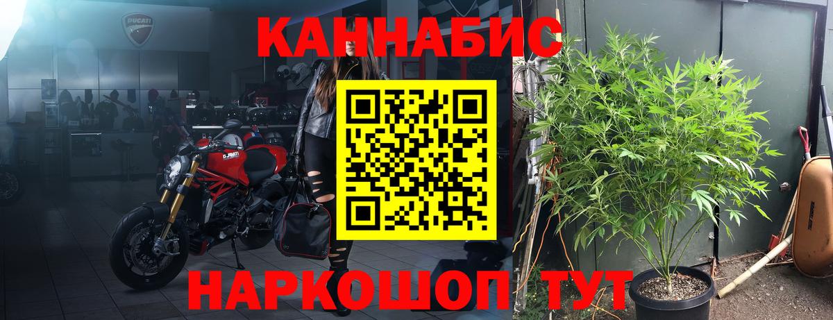 Каннабис Bruce Banner Звенигород